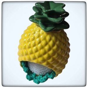 Pineapple Spring Kitchen Ceramic Sink Scrubby Holder-Ceramic-Handmade Crocheted